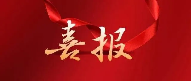 &#80;&#84;&#30495;&#20154;&#65288;&#20013;&#22269;&#65289;&#23448;&#26041;&#32593;&#31449;